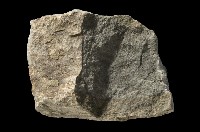 石灰岩藏品圖，第4張